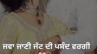 Pk Desi Short