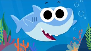 Babay Shark | Animal Dance | Animal Song