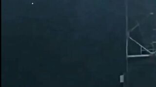 New viral video