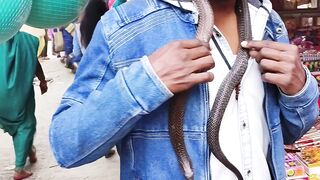 Mahashivratri Vlog //First Time I Put Snake Around my Neck