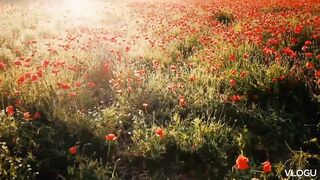 Relaxing music