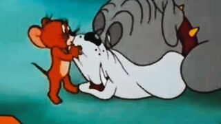 Tom and Jerry classic completion cartoons