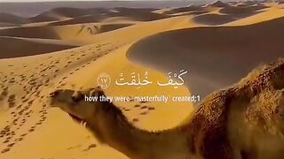 Tlwate quran pak