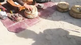 Entertainment animal