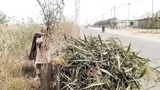 Allah Pak Hum Sub ko ase Muskil Life Se Bachaye