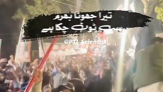 Pti fans