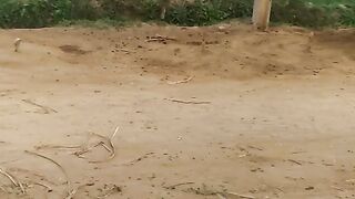 Village
