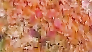 خطبہ امام عطاء اللہ شاہ بخاری رحمہ اللہ