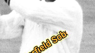 Who Hit Six Sixes In An Over