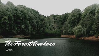 The Forest Awakens