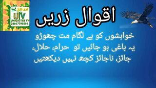 Aqwal e zareen