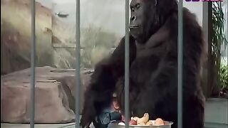 Hollywood movie