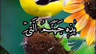 Surah Rahman