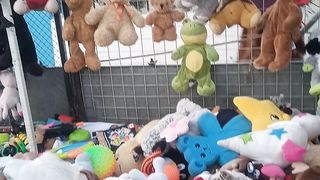 Baby Toys videos