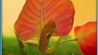 My new video