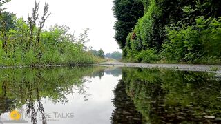 Rain Drops falling Trees sound and Relaxing music.(1080p)