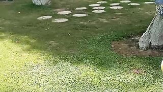 Air University Islamabad
