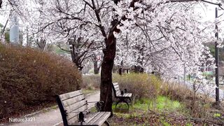 Relaxing in winter with Nature
