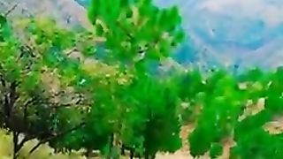 Village nature