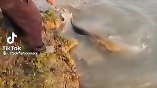 Big fish angling | net fish
