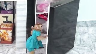 Animal video