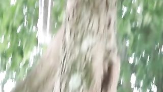 Cute kitten funny video-anak kucing meong meong.