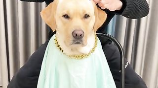 Hair cutting