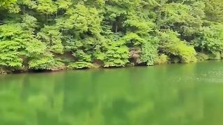 The nature beauty in morning