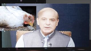 mehengai pr Shehbaz Sharif ka pegham|funny price increase in pakistan