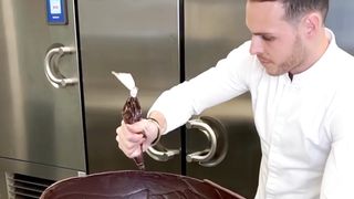 A Dinosaur made from chocolate