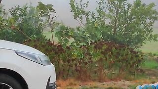 Village morning ????????