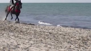 Horse | Rider | Beach | Sand | Stuntman | Sea Race Horses