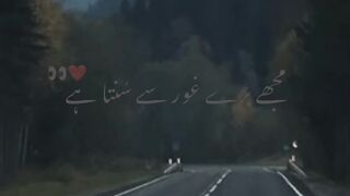 مجھے بڑے غور سے سنتا ہے"