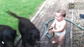 Baby Laughing Funny Video Baby and animals funny video # P27