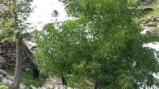 Tour to kashmir