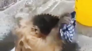 хозяюшка