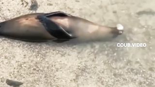 Когда устал от этой суеты
