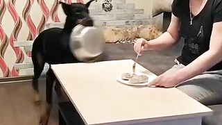 может и меня покормишь