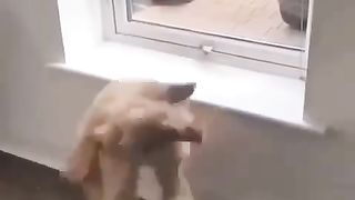 Счастье