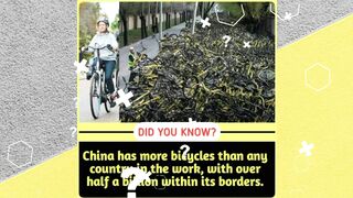 Amazing Facts You Might Not Know Before 5 Minutes | Incredible Interesting Facts | Random Facts |