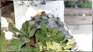 Beauty of Nature