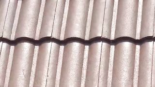 Painting roof top with rostered coffee colour