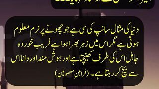 Urdu Aqwal | Duniya ki Misal