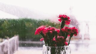 Relaxing Rain Meditation