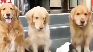 It's family photo time