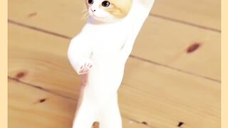 Danceing cat