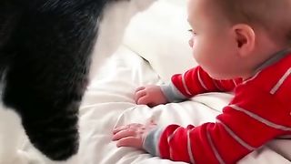 cat with a child