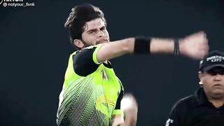 cricket vido