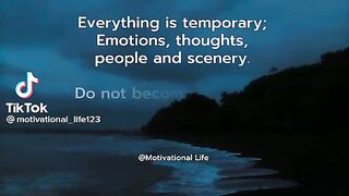 Nice videos of life