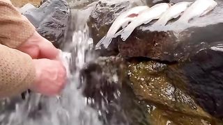 Cooking In Nature